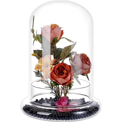 Cloche en Verre pour Présentation 14x21.5cm Couverture en Dôme Cloche Terrarium Transparent avec Socle Cloches à Confiture Terrarium pour Cactus Succulentes Dessus de Table (1/5)