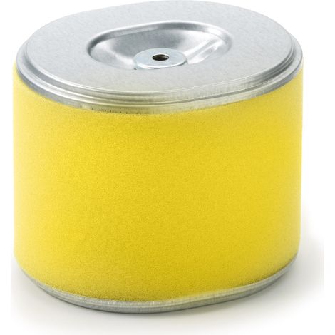 Filtre à air de refroidissement du moteur Oregon 30-417