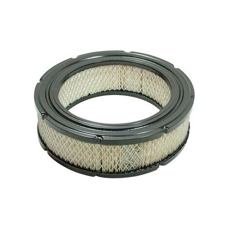 Filtro aria BRIGGS et STRATTON 692519 - 806232