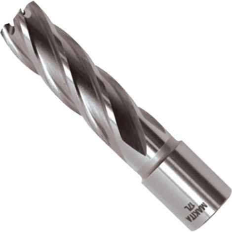 43L Punte 43 mm