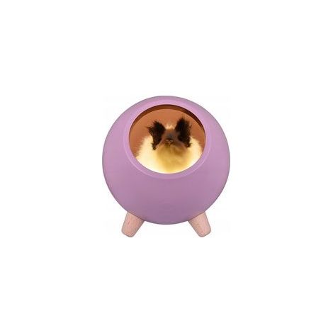 Veilleuse hamster violet rechargeable USB, mini lampe de table mignonne pour enfant –