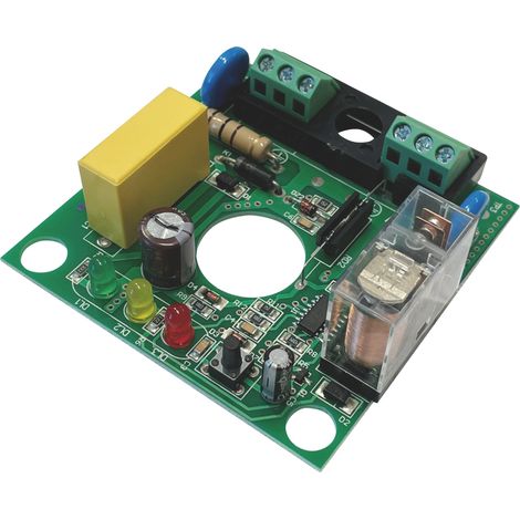 Globex SCHEDA ELETTRONICA PER REGOLATORE DI PRESSIONE cod. 49384/49835