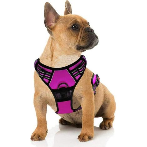 Harnais chien anti-traction, harnais chiot avec clip avant, gilet de harnais animal avec poignée, réglable et rembourré, réfléchissant Oxford, confortable pour dressage et promenade extérieure, taille (1/4)