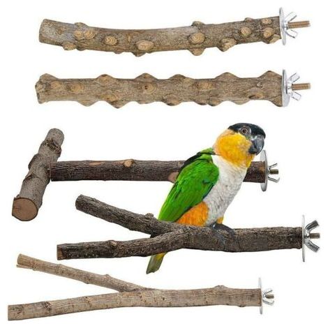 Lot de 5 perchoirs en bois naturel pour oiseaux, perchoirs en bois naturel, accessoires pour oiseaux, perruches, jouets pour oiseaux, grimper debout, cage à oiseaux (1/4)