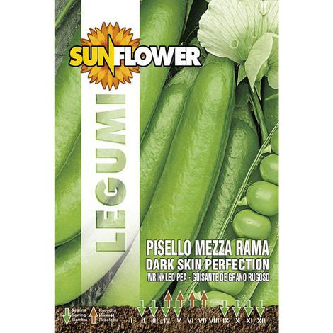 Graines de pois demi-branche Perfection Tournesol