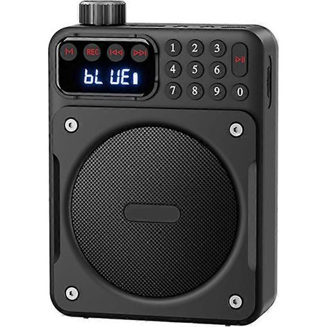 Mini-tragbares FM-Radio mit herausnehmbarem Akku, schwarz (1/5)