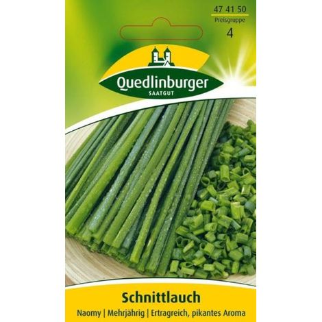 Quedlinburger Schnittlauch Naomy - Kräutersamen (1/2)