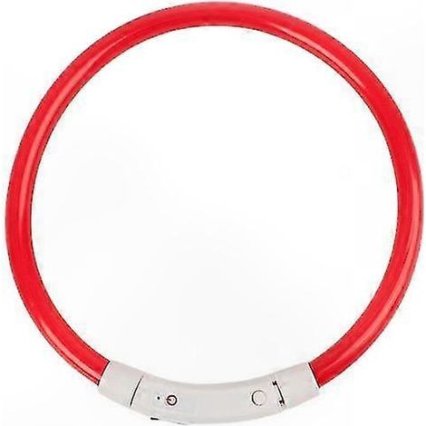 Collier pour chien avec LED clignotante rechargeable USB et lumière de sécurité nocturne (1/5)
