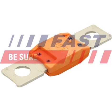 FT83403 fusibile rapido con terminali piatti (1/2)