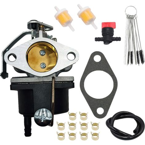 Der Vergaser 640353 ist geeignet für Tecumseh OH318EA, OH318XAO, HM100, OHM90-222309C. (1/5)