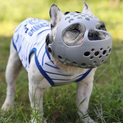 Muselière souple en silicone pour chiens à museau court, idéale pour les chiens à face plate et agressifs. Empêche les morsures et les mâchonnements.-L-Grey (1/5)