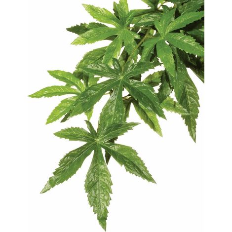 Pianta artificiale exo terra abutilon plastica 20x55 cm (1/4)