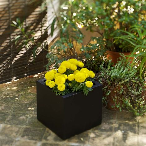 NARCISO 35 Macetero Cuadrado de Interior y Exterior Para Plantas y Flores Muy Resistente al Paso del Tiempo. Hecho de Polietileno en España - Negro