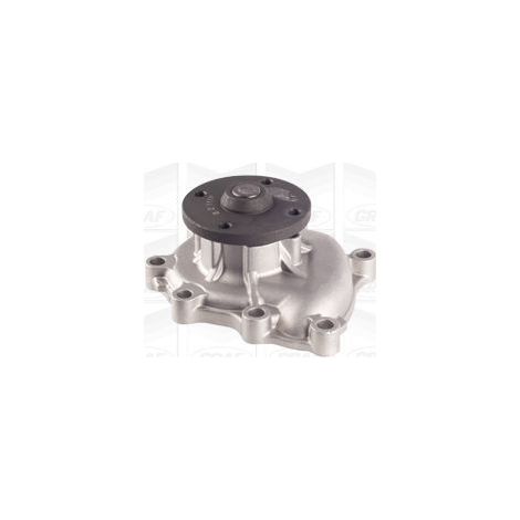 Pompe à eau, refroidissement du moteur GRAF PA1117 KIA 25100-4X700