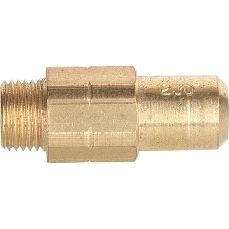 gicleur pour bruleur principal Wolf 2425123