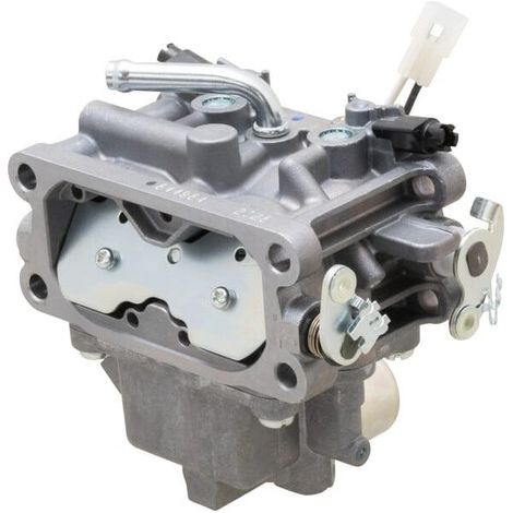 Carburatore BRIGGS & STRATTON 845273 (1/5)