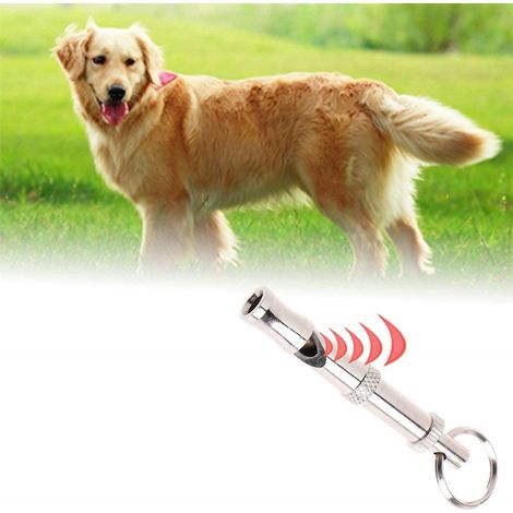 Leuchtender Ball – bissfest – für Hunde/Welpen – interaktiv