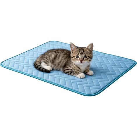 Tapis Rafraîchissant Pour Chiens Coussin Froid en Soie Glacée pour Animaux Tapis anti-chaleur chiot Convient pour balcon, appartement, maison, salon, , chambre, intérieur, extérieur et cour (1/5)