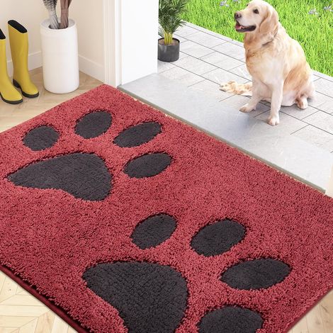 Paillasson Interieur 80 x 120 cm, Tapis d'Entrée Antidérapant et Lavable en Machine, Tapis de Sol Douces Absorbantes pour Chien, Entrée, Porte, Couloir (1/5)