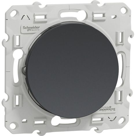 Schneider Electric Odace interruttore a doppio interruttore antracite 10A