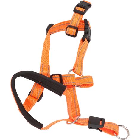 Collare per la testa del cane – cavezza – cinghia di sicurezza – arancione – anti-tiro – per passeggiate