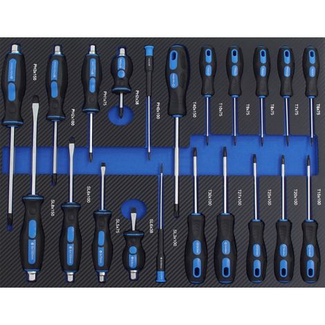 Profi Werkstattwagen Einlage blau Schraubendreher 21 tlg. Sortiment Schaum 520x400mm