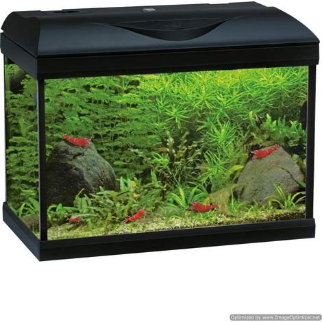 Amtra Basic LED 40 Black Acquario completo per acqua dolce o marina, ideale per acquascaping