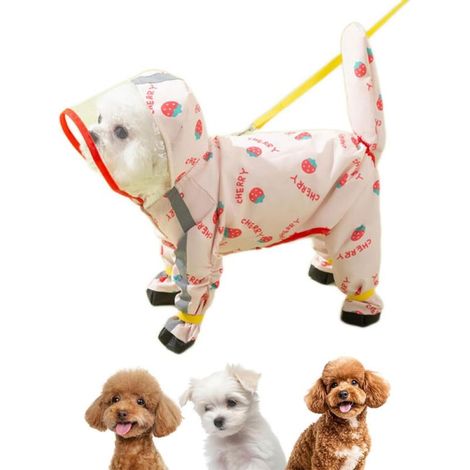 1 Imperméable chien, motif fraise, capuche et couvre-bottes, bandes réfléchissantes, petits et moyens chiens (1/5)