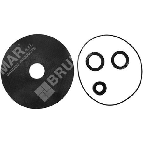 Dichtungssatz für ROVER POMPE COMPATIBLE Elektropumpen – 000012