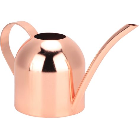 Arrosoir en acier inoxydable, pot pulvérisateur long en or rose pour plantes d'intérieur
