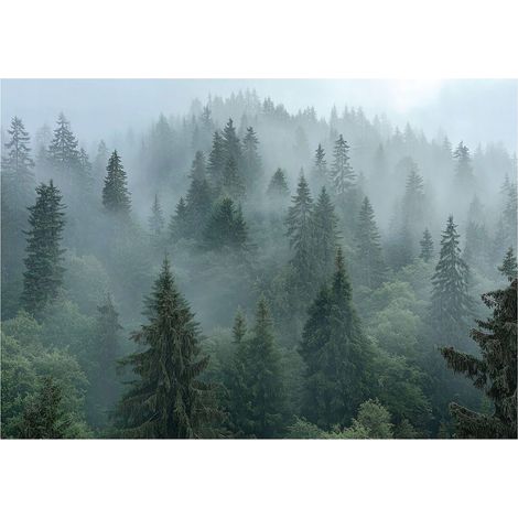 Papier peint mural forêt brume arbres 3D nature intissé grand format design intérieur salon chambre pas cher 150x105 cm (1/5)