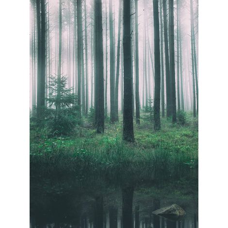Papier peint panoramique foret lac dans les bois effet zen | Tapisserie panoramique nature vert & noir | Papier peint panoramique arbre chambre adulte - 192 X 260 cm (4 pièces) (1/2)