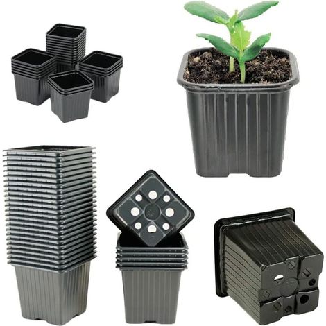 Godets pour Semis – Tailles Disponibles 5.2x5.2 – Lots de 50, unités - Pots Plastique Réutilisable pour semis et Jeunes Plantes (1/5)