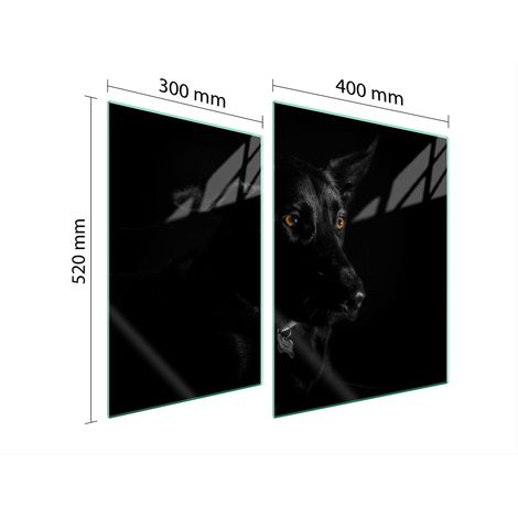 GLASSCHUTZPLATTE FÜR HERD 70x52 HUND (1/5)