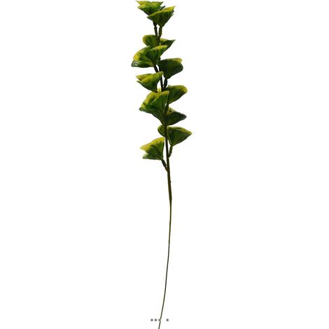 Bupleurum en pic plastique artificiel panache H 40 cm panache (1/2)