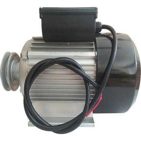 Domac – Moteur électrique 3CV 230V – Rotation réglable 2850 tr/min – Indice de protection IP54 – Livré avec poulie 90mm (1/8)