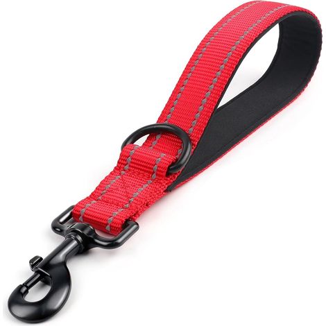 Laisse Chien - 30 Cm - Largeur 3 Cm - Réfléchissante - Pour Chiens Moyens À Grands - 1 Pièce (1/5)