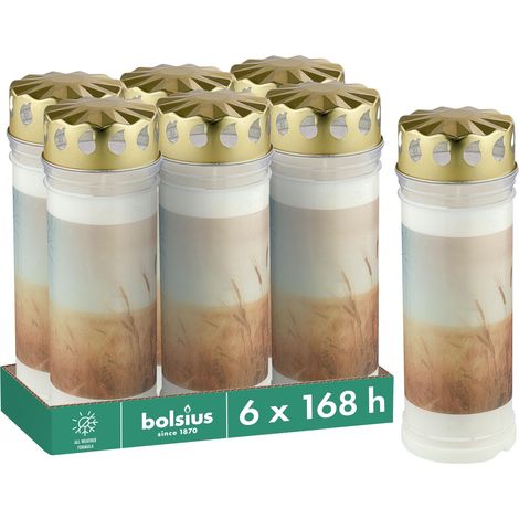Lot de 6 bougies funéraires Blanc Longueur de la durée de combustion Bougie de condoléances et mémorial Avec motif Champs N° 7-7,5 x 20 cm (1/5)