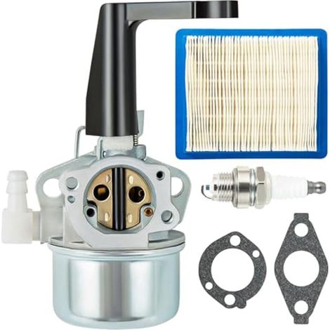 Carburatore 696065 697422 (con guarnizione) per motori Briggs & Stratton 110402 110412 215369 (5 CV, 5,5 CV, 6 CV, 6,5 CV, 7 CV).
