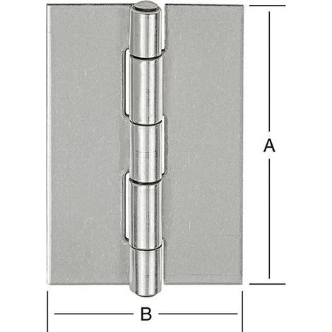 Cerniera 50x31mm. V2A Acciaio inossidabile