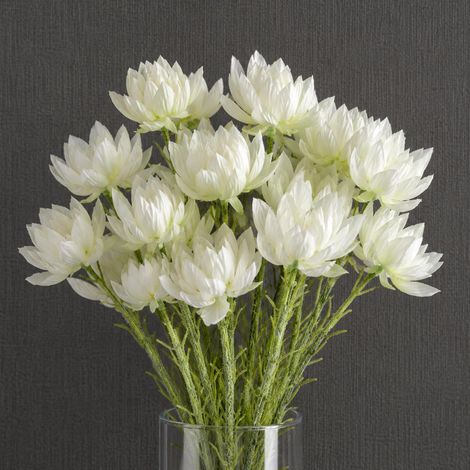 Pack of 6 x 60cm White Starflower Stem - 30 Flowers - Premium Quality (1/5)