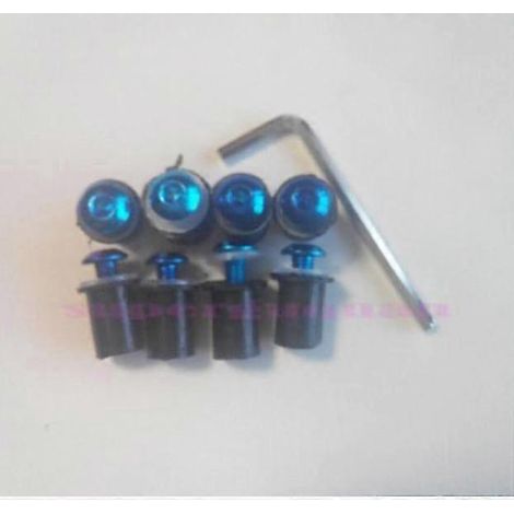 Pare-brise neuf pour Honda CBR600F4 CBR600 CBR 600 F4 1999-2000 (vis de fixation incluses - vis bleues) (1/5)