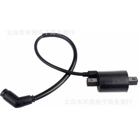 Applicable à la bobine d'allumage haute tension Linhai 260 Gio Bear Daymak Grunt Midwest (1/4)