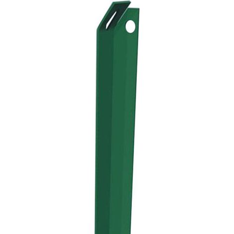 Paletto plastificato da 3 mm 2,5 cm altezza 2 metri set 2 pezzi - biacchi ettore