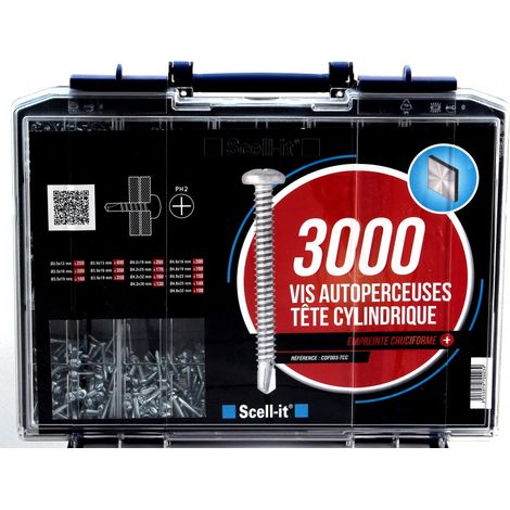 Coffret de Vis Autoperceuses à Tête Cylindrique
