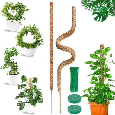 Monstera Folding 2 x 120 cm Coconut Fibre Stake with Ties Indoor climbing plant stand, modellable to guide vertical growth garden ties included (1/5)