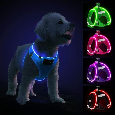 Harnais Lumineux Chien Rechargeable Bleu-M (1/5)