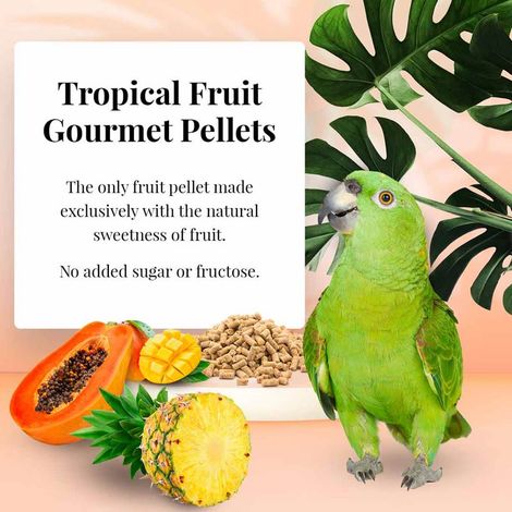 Lafeber Gourmet Pellets - Frutta Tropicale - Pappagalli - Alimento bilanciato: granuli con frutta per pappagalli di grandi dimensioni 567 g (1/4)