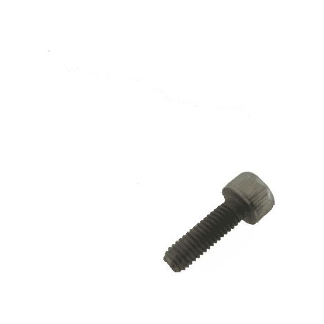VIS POUR PETIT ELECTROMENAGER POLTI - POM0000173