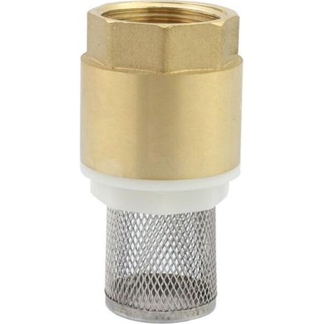 Clapet crepine anti retour vanne non retour clapet anti-retour pompe (1 pouce) (1/5)